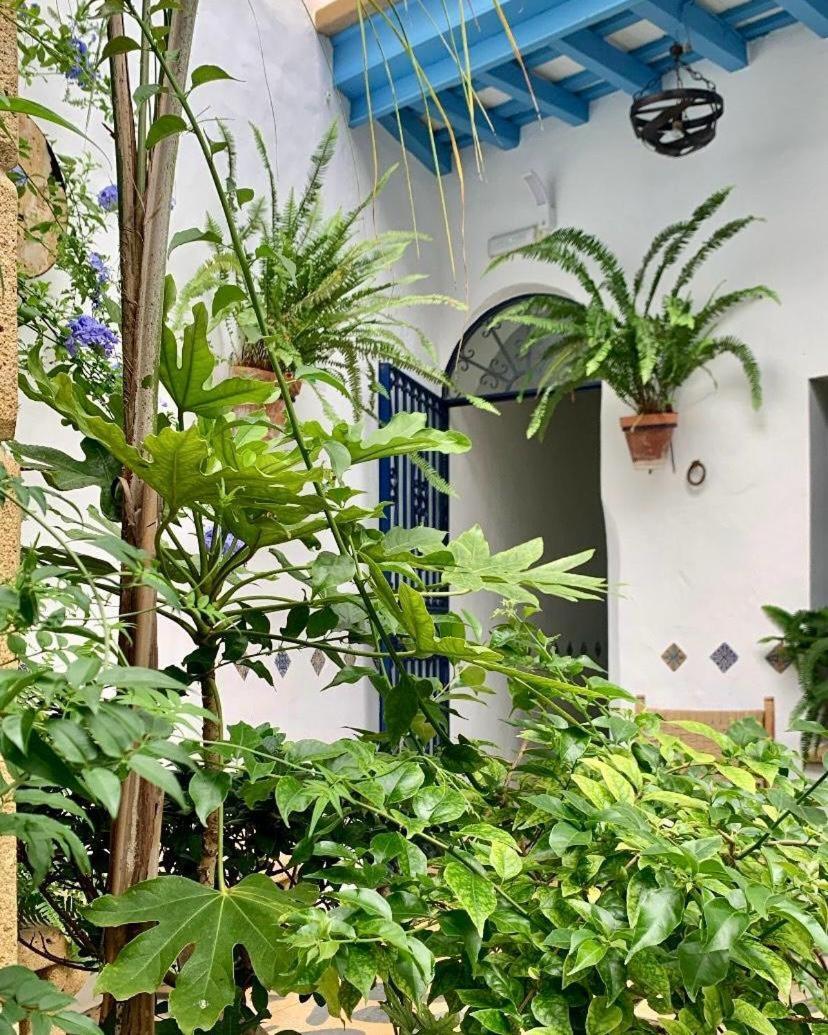 Hostal Casa Alborada Conil De La Frontera Eksteriør bilde