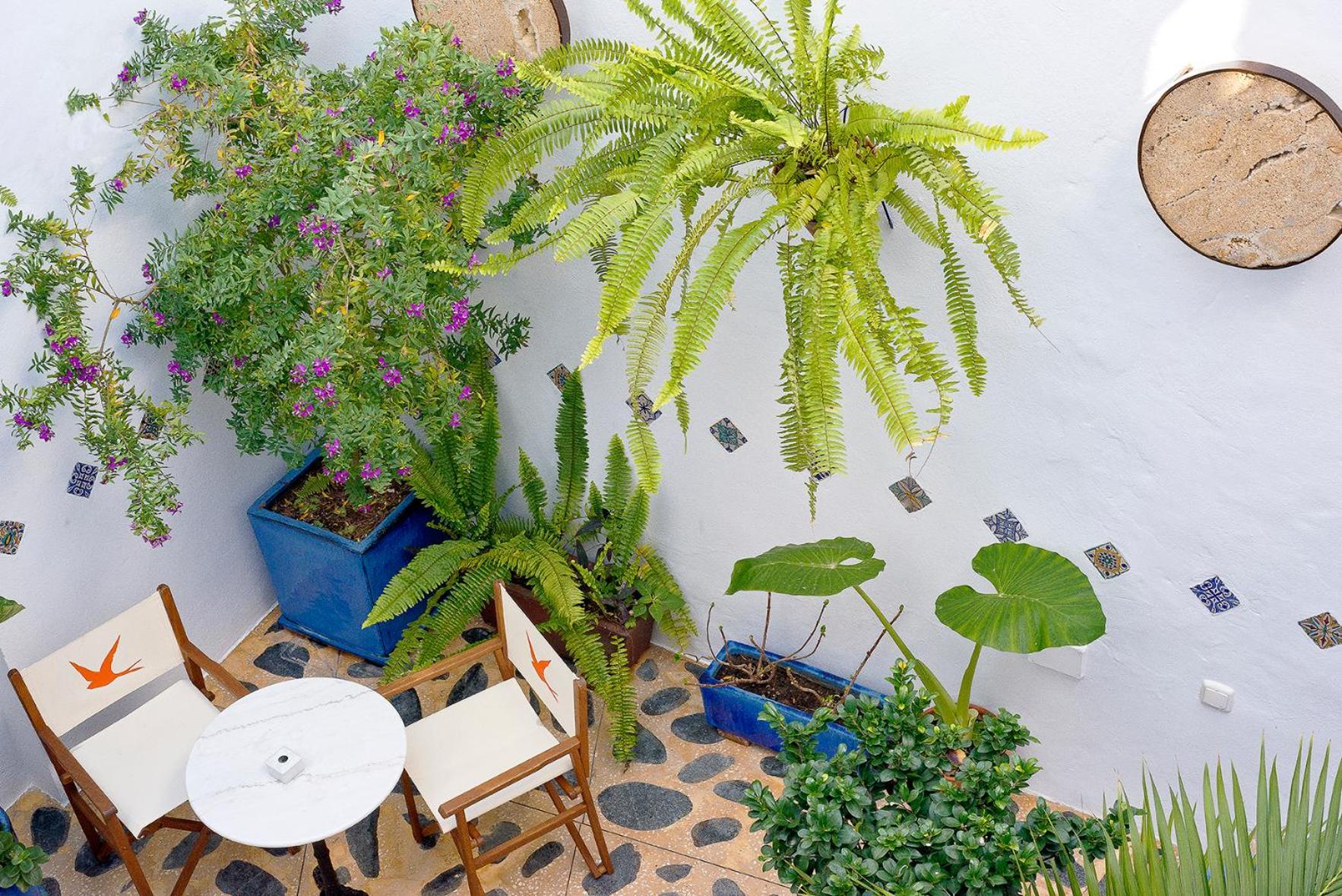 Hostal Casa Alborada Conil De La Frontera Eksteriør bilde