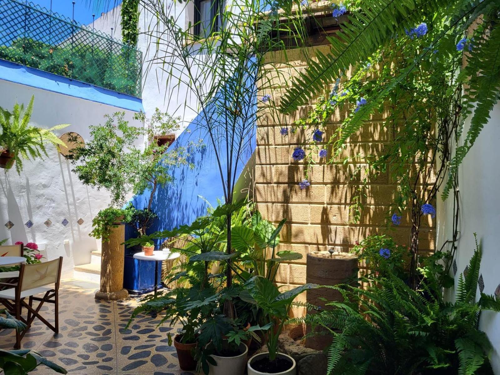 Hostal Casa Alborada Conil De La Frontera Eksteriør bilde